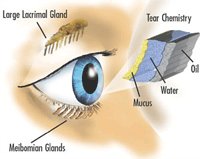 dry eye syndrome causes treatments