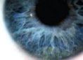 Closeup view of the iris and cornea.